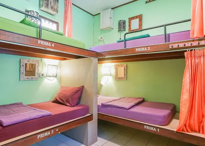Padi-padi & Bar Hostel *