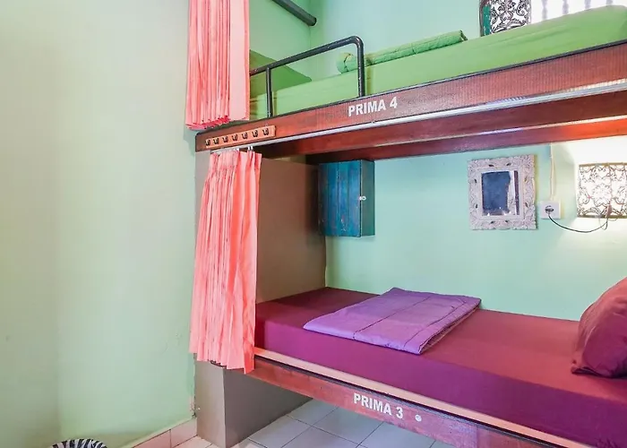 Padi-padi & Bar Hostel